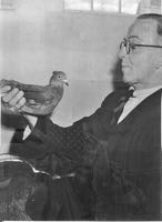 Charlie Brewer and his pigeon