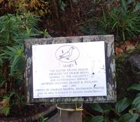 The plaque in Northernhay Park to Mary of Exete