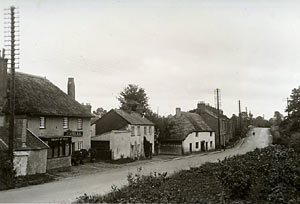 Pinhoe  and the Heart of Oak