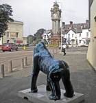 X-Ray-Ape by Dave Ellacottt and Sue Misselbrook