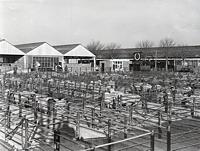 The stock pens at the Marsh Barton Cattle Market.