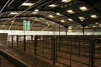 The interior of one of the covered sheds.