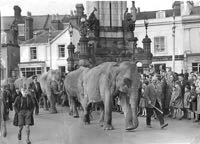 Elephants pass the Clock Tower.