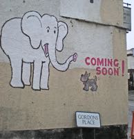 Heavitree white elephant.