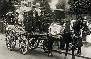 Cart horse parade entry