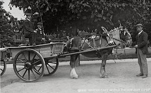 Cart horse parade entry