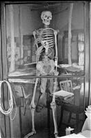 The skeleton in the school room in 1979