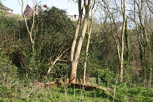 Head Weir bathing ground