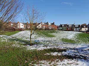 Danes Castle in the snow