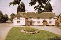 Colour postcard of the Thatch, circa 1960.