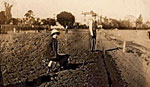 St Leonard's allotments