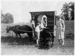 Ice cream seller