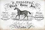 Paul Collins' business card