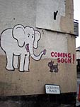 The Heavitree 'White elephant'.