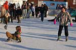 The Christmas ice-rink, Exeter