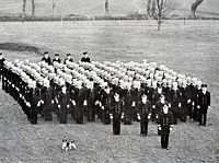 Company D, US Navy on one of the greens.