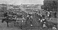 Horse and carts being used to level the pitch in 1908