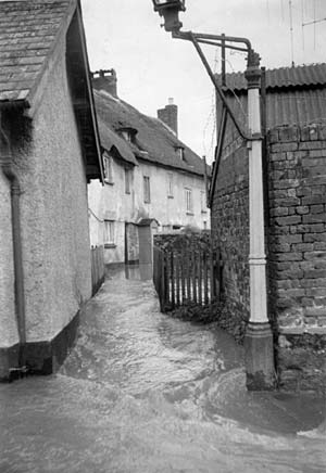 Buller Cottages, Exwick are flooded