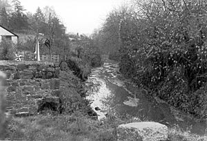 The leat behind 18 St Andrews Road