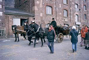 Controlling the horses