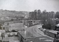 The cattle market, probably about 1950