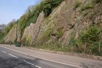 The river cliff is the Bonhay SSSI.