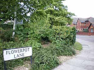 Flowerpot Lane