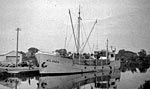 MV Wolanda unloading timber