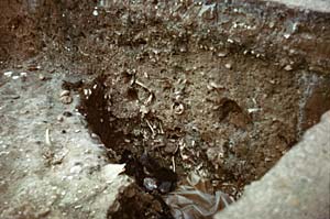 Mediaeval burials, Cathedral Yard