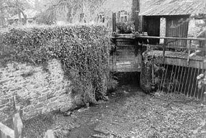 Exwick mill pool