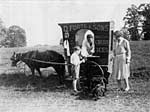 Forte ice cream cart